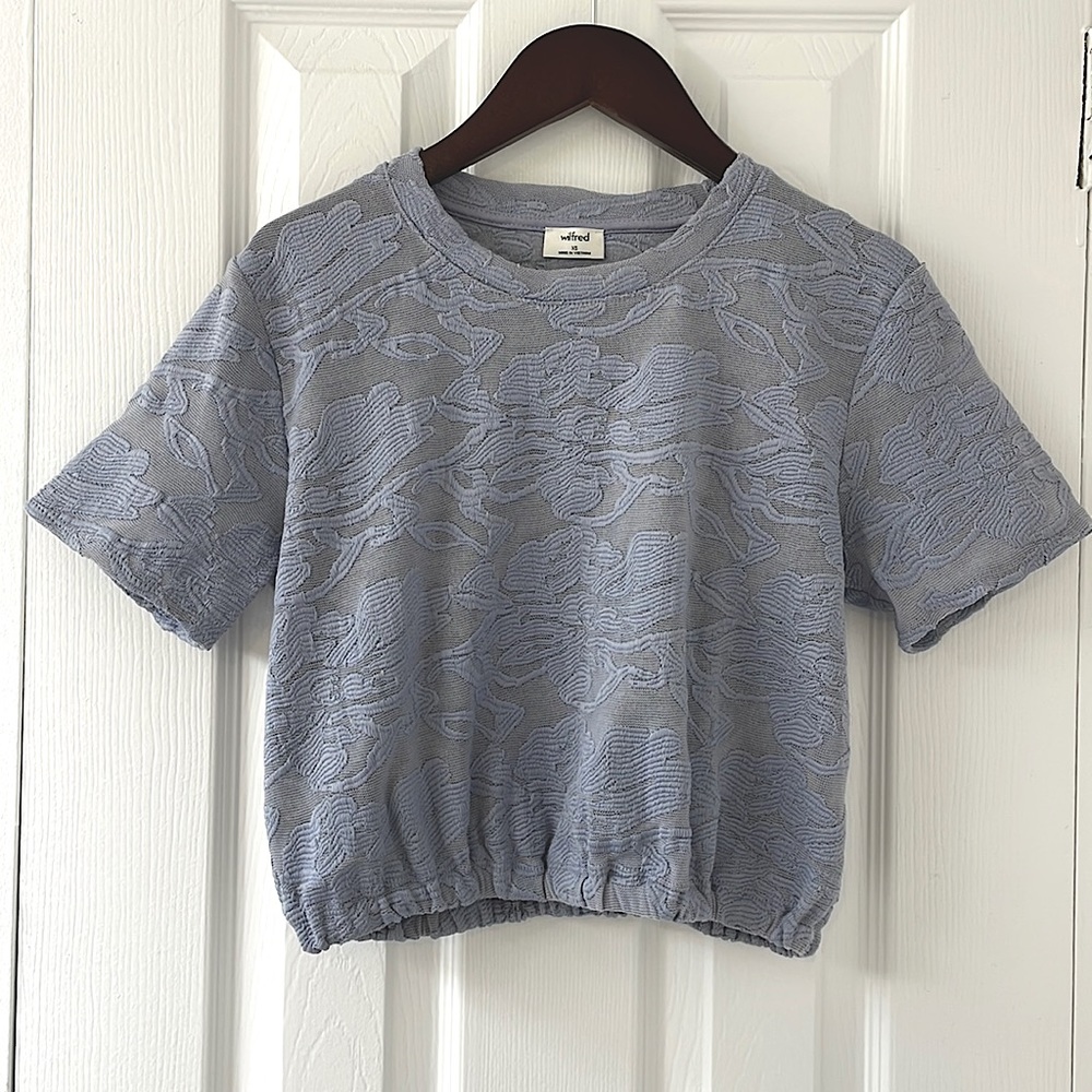 Aritzia Cropped Top XS